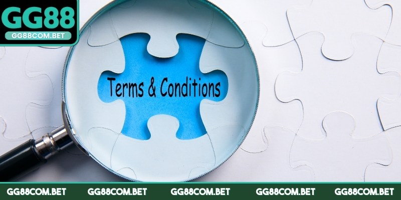 Những lưu ý khi đồng ý với chính sách